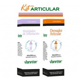 Kit Articular