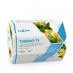 THERMO T3